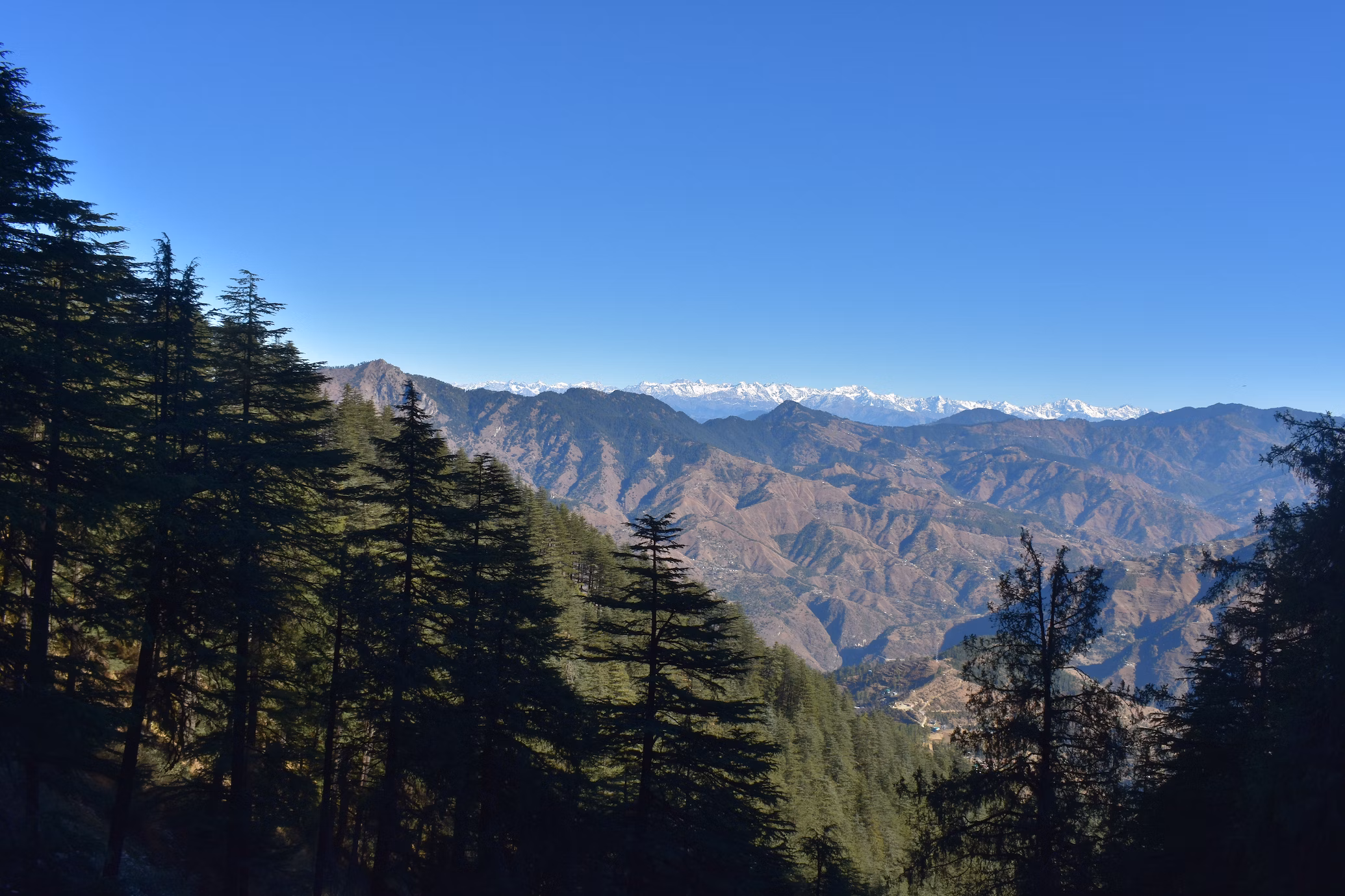 shimla Kufri