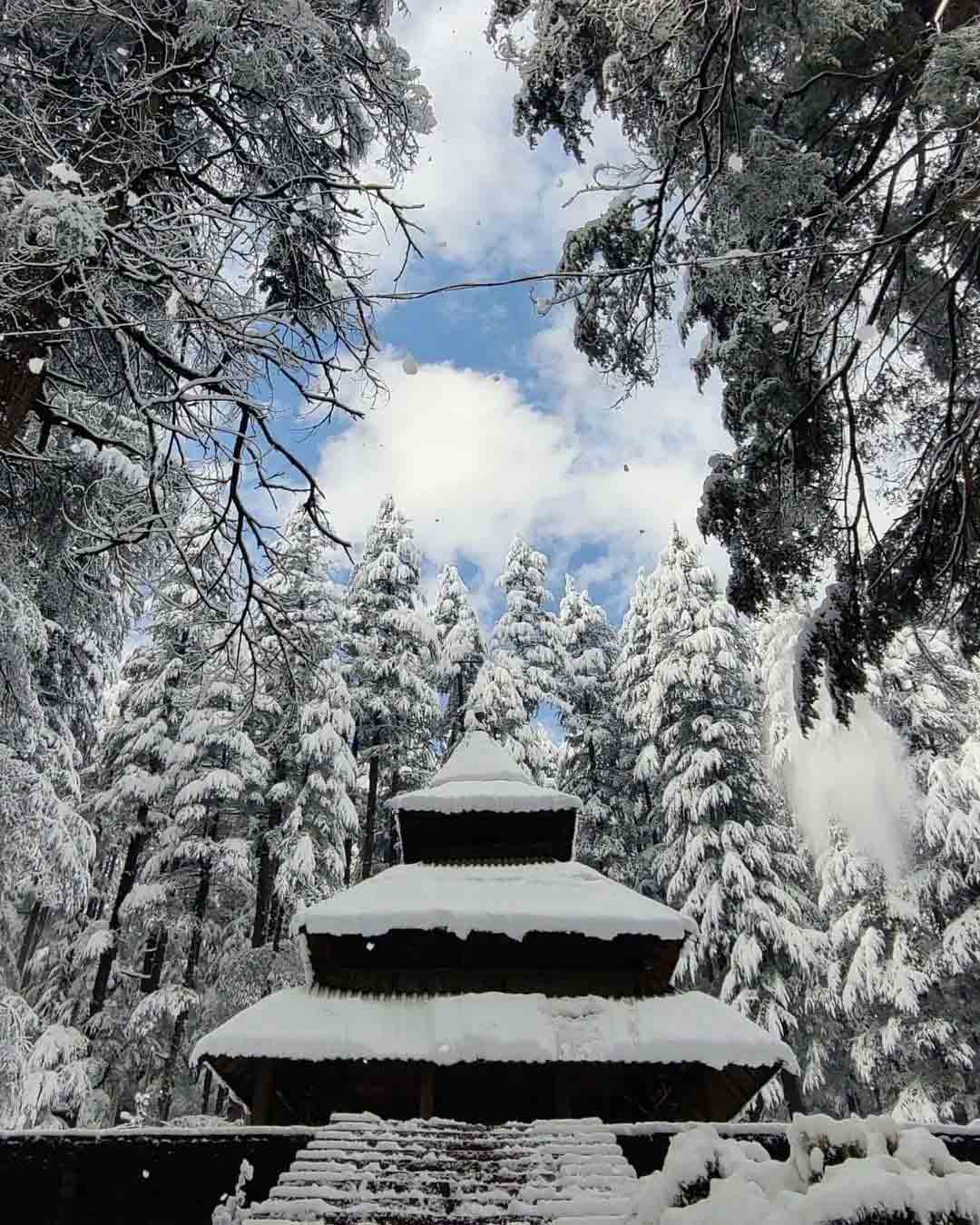 things to do in kufri