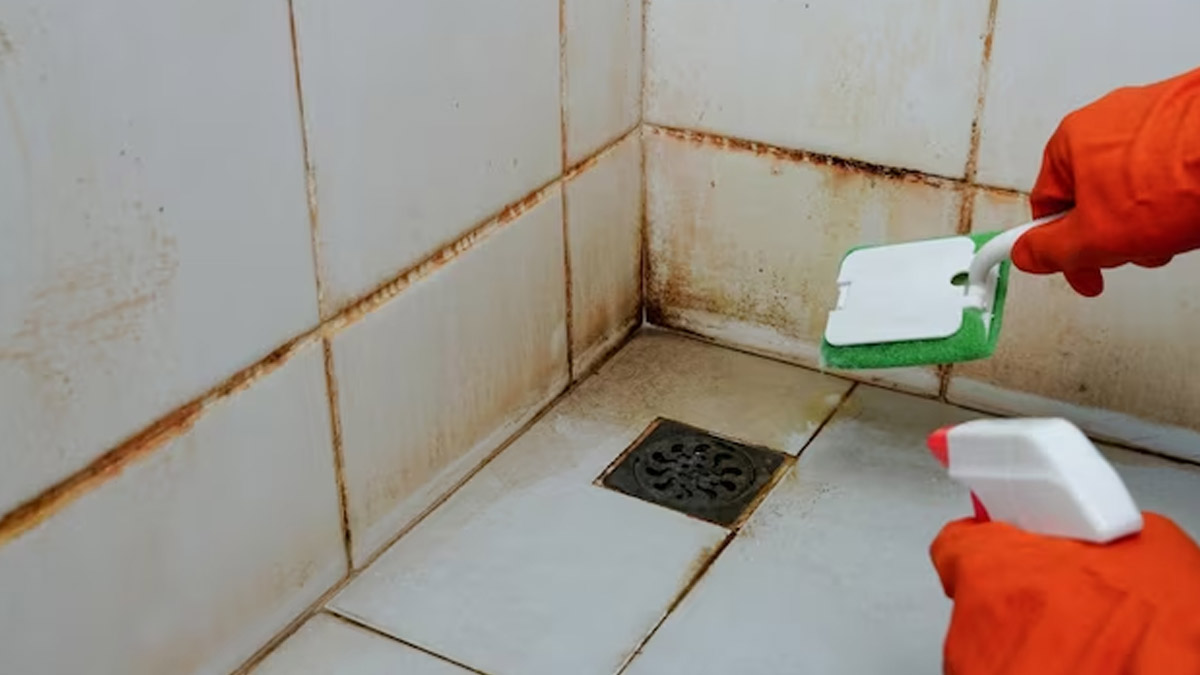 how-to-clean-bathroom-tiles-easily