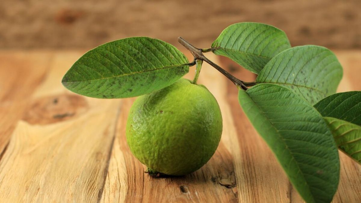 Guava: Benefits, Side-Effects Of The Fruit; Expert Shares 5 Ways To Add It To Your Diet