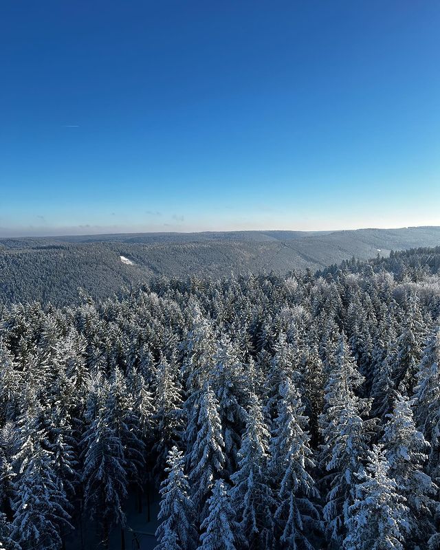 why called black forest, germany