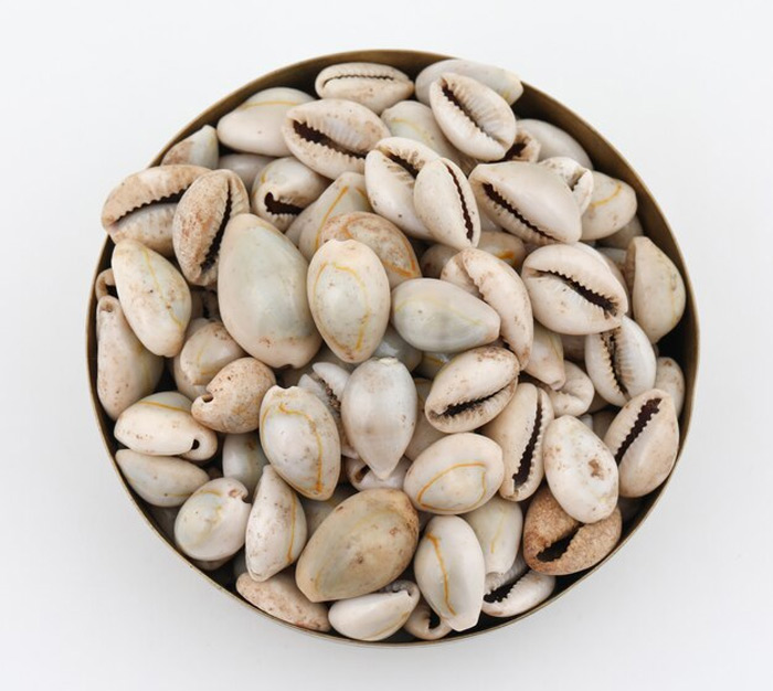 why kaudi is auspecious for money