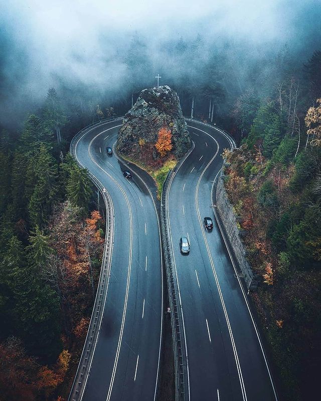 why so famous black forest