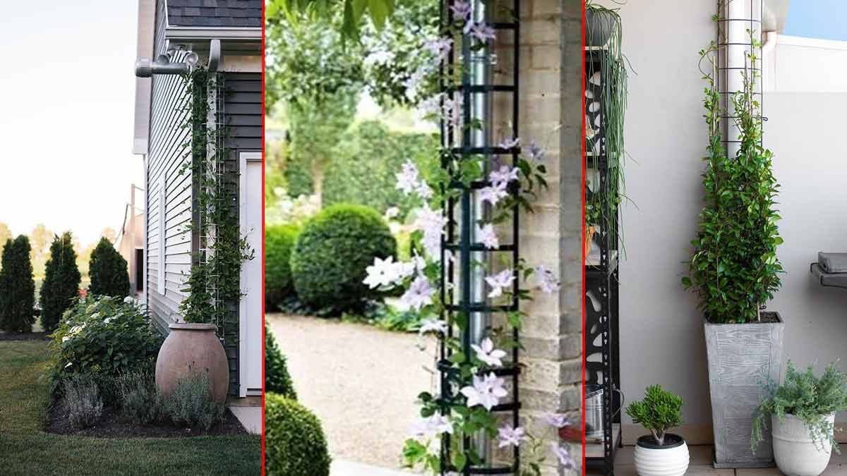 you cover exposed outdoor pipes