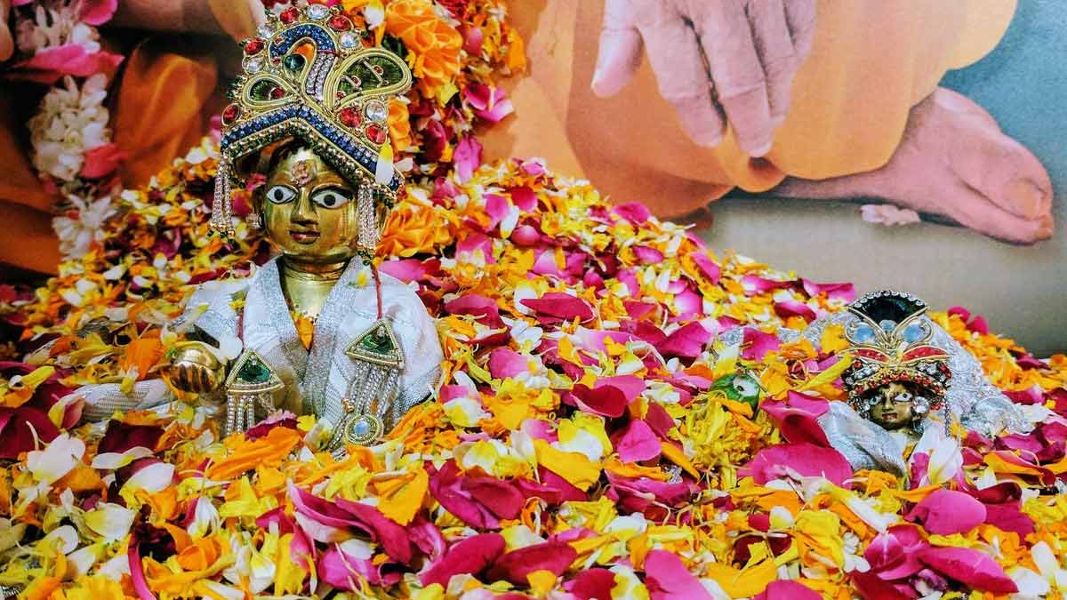 Phulera Dooj Ka Mahatva