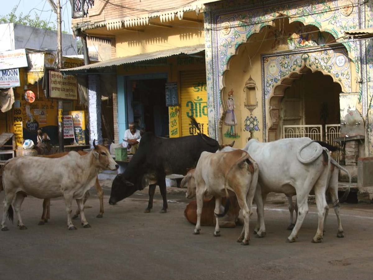 astrology signs of good times