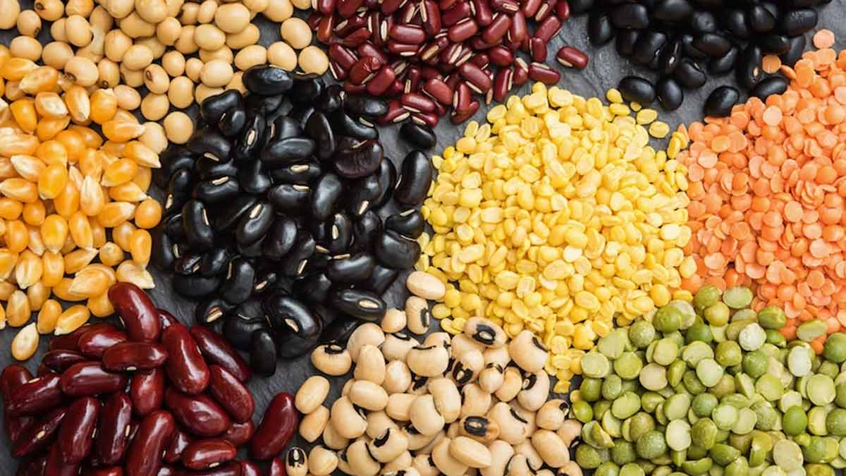 பீன்ஸ் ஆரோக்கிய நன்மைகள், Beans Health Benefits health benefits of adding beans to your diet