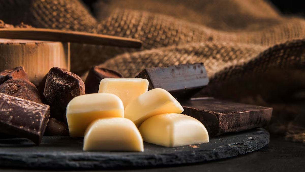 difference between milk and dark chocolate