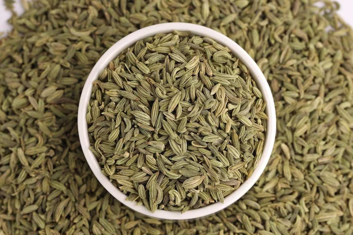 fennel seeds water 