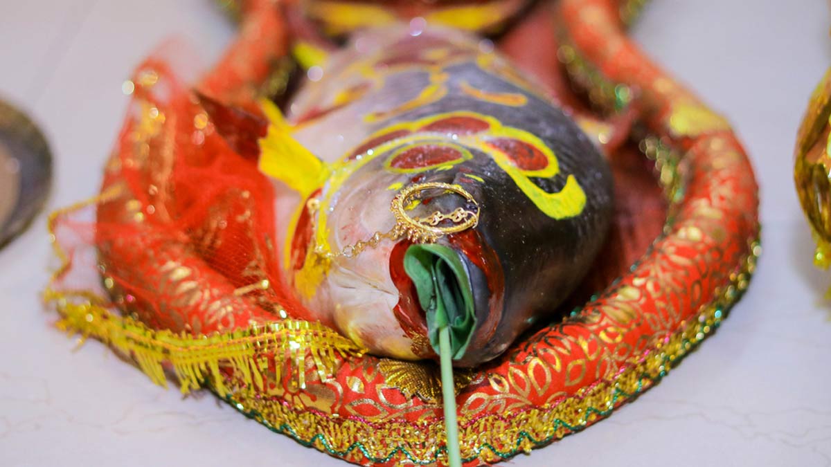 Fish Significance In Bengali Wedding Rituals Why Fish Is A Must In   Fish Social 