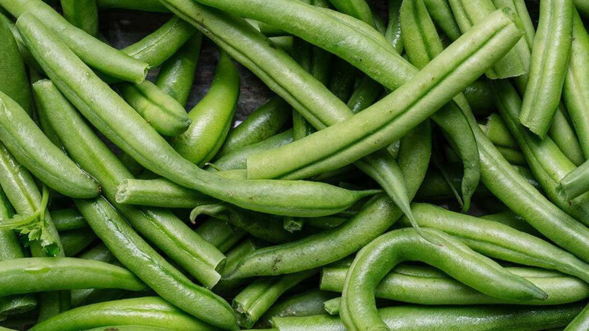 broad-beans-benefits-in