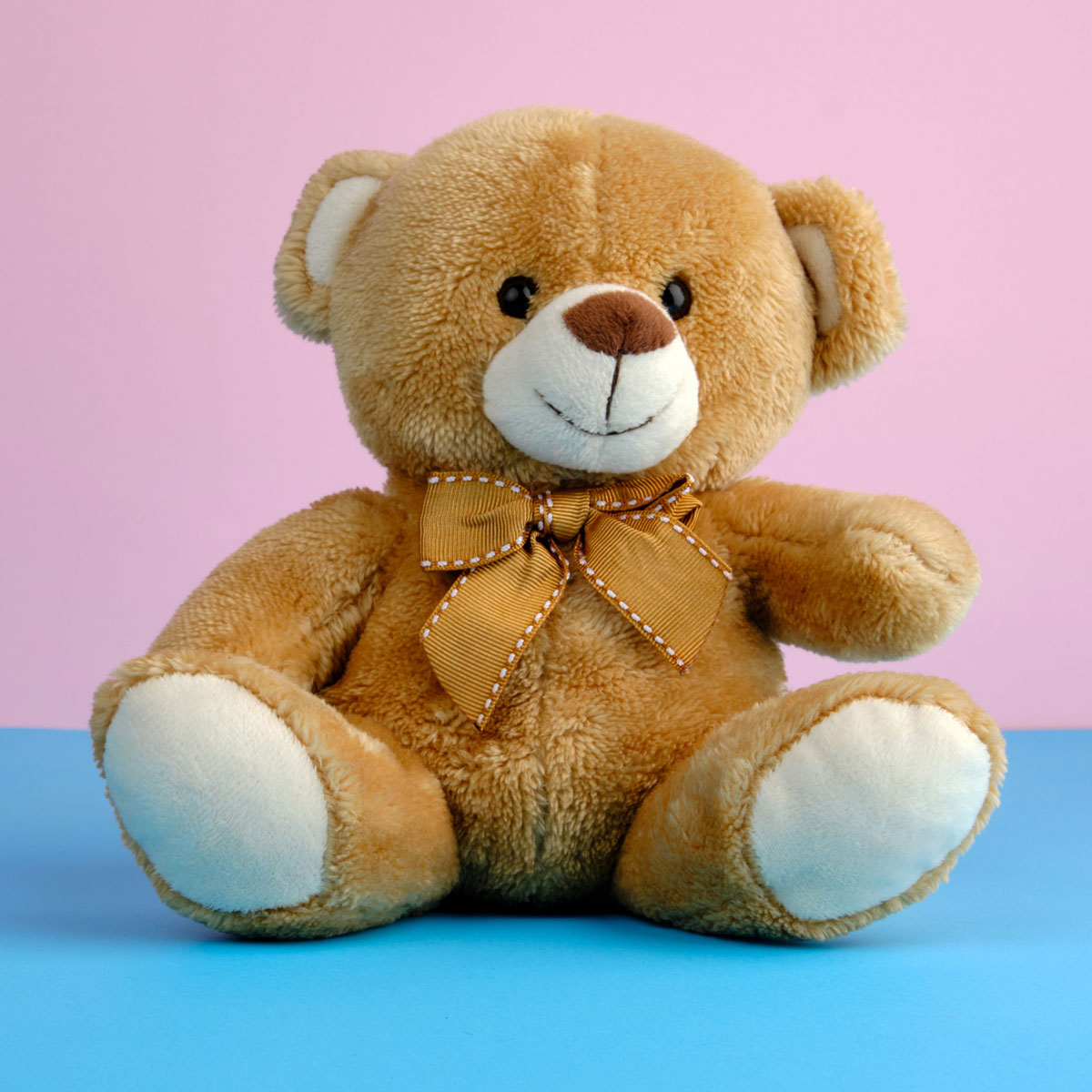 history of teddy day