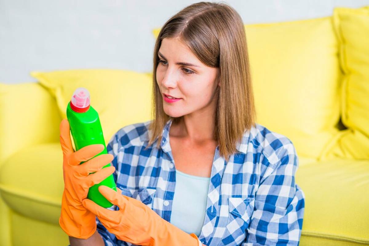 homemade spray for bed bugs