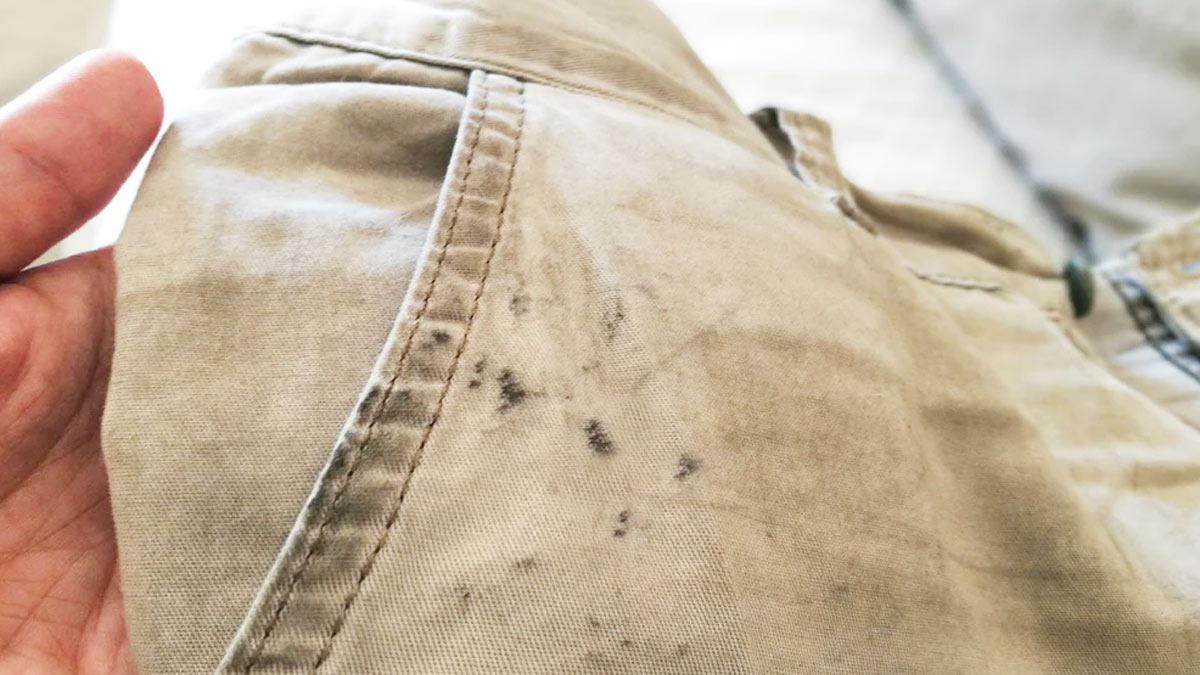 कपड़े में लगे ग्रीस, चायकॉफी और चॉकलेट के दाग को हटाने के आसान टिप्स