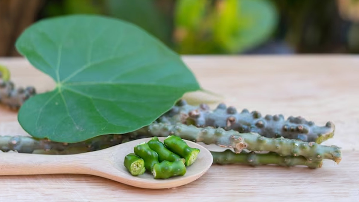 how to use giloy at home