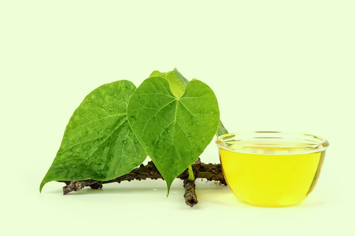 how to use giloy juice