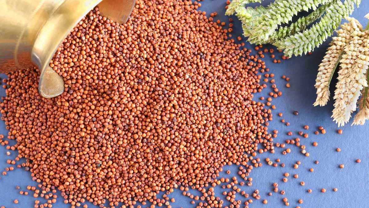 know about Ragi