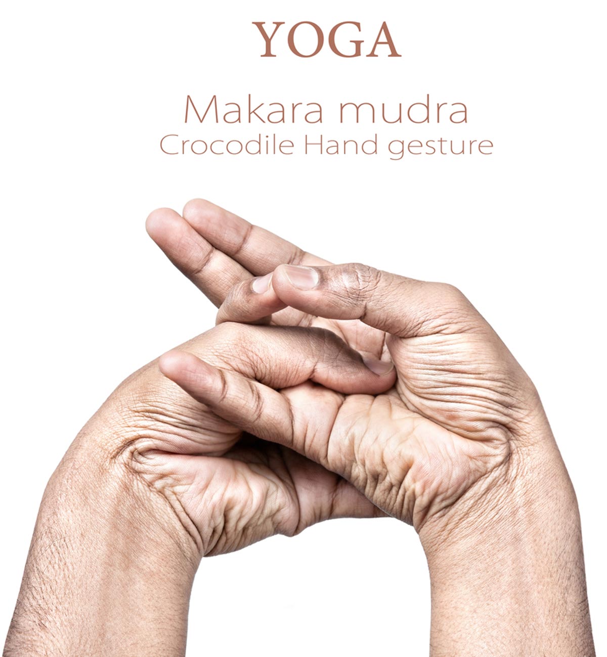 makara mudra benefits for dark circles