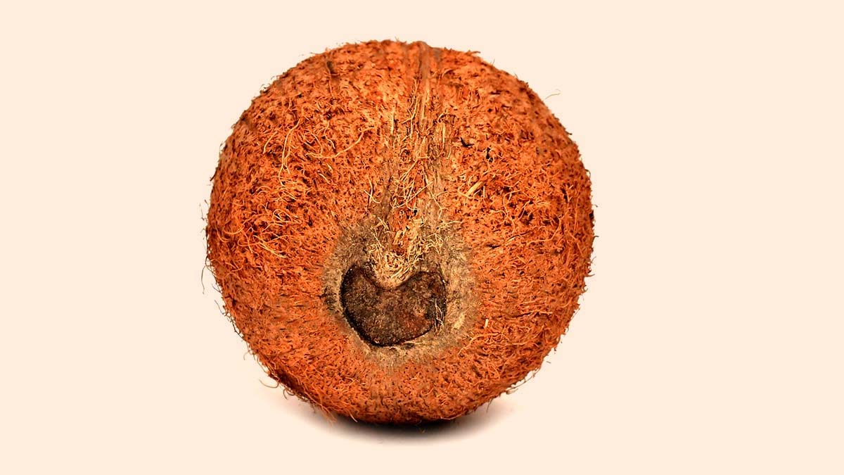one eye coconut astro remedies