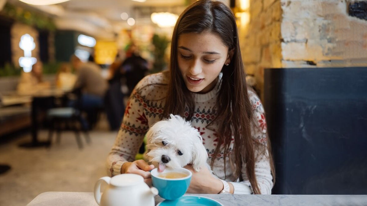 Top 5 Pet Friendly Cafes In Kolkata