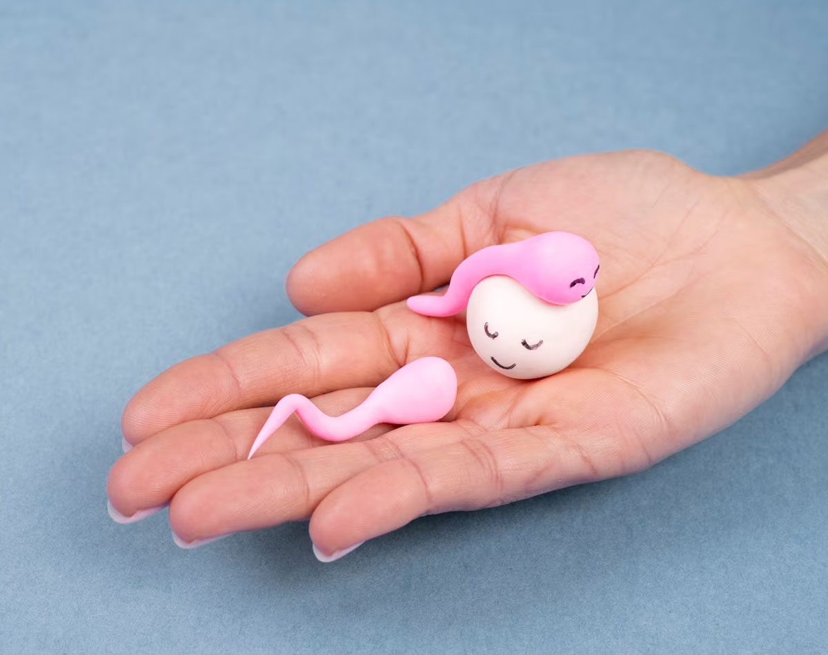 planning for pregnancy 