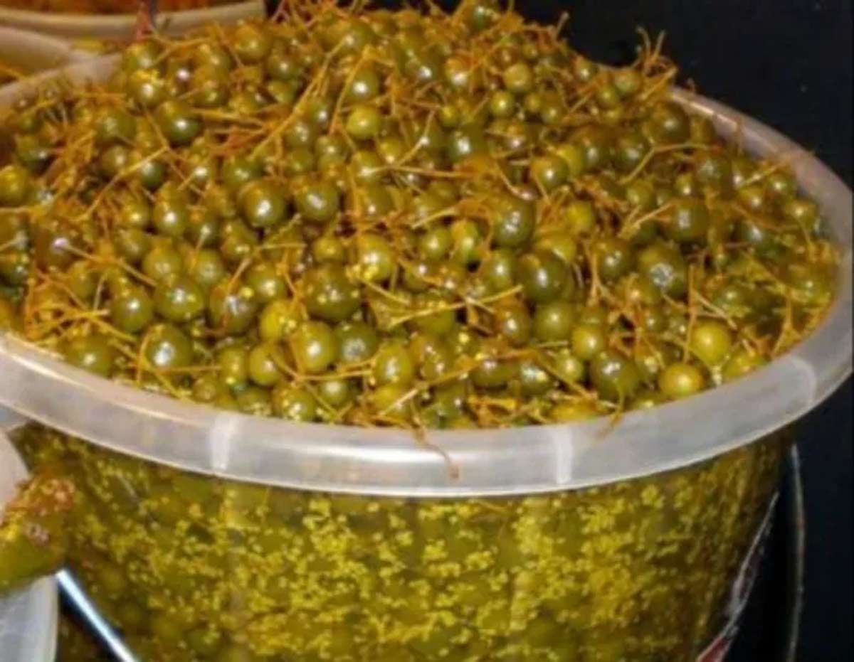 rajasthani pickle recipe in hindi