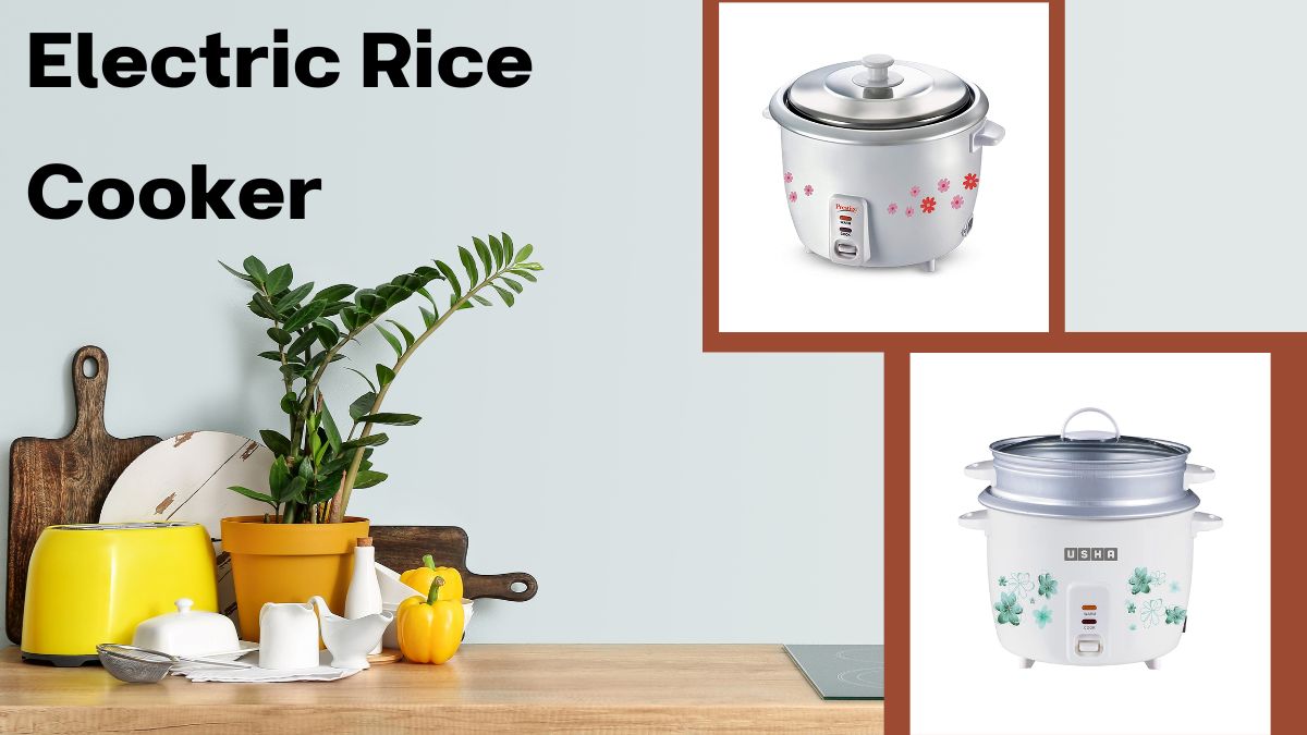 Samsung rice best sale cooker price