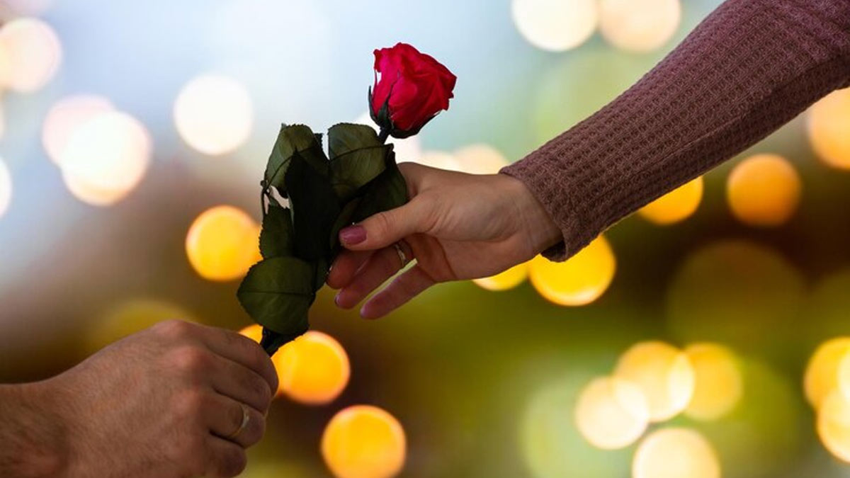 Happy Rose Day Wishes 2023: Quotes & Messages To Send On WhatsApp ...