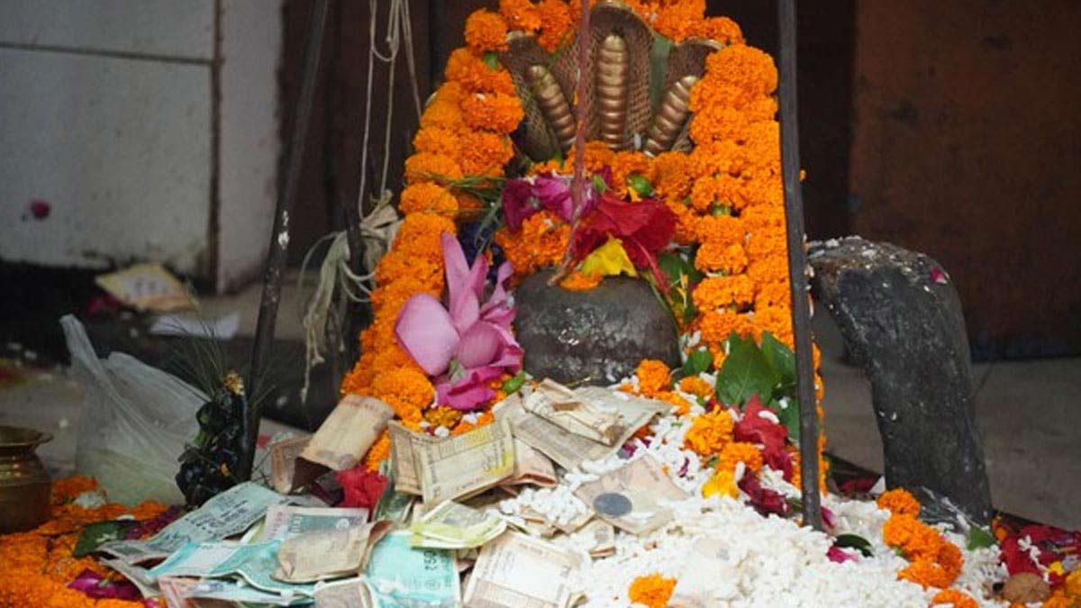 rudrabhishek benefits