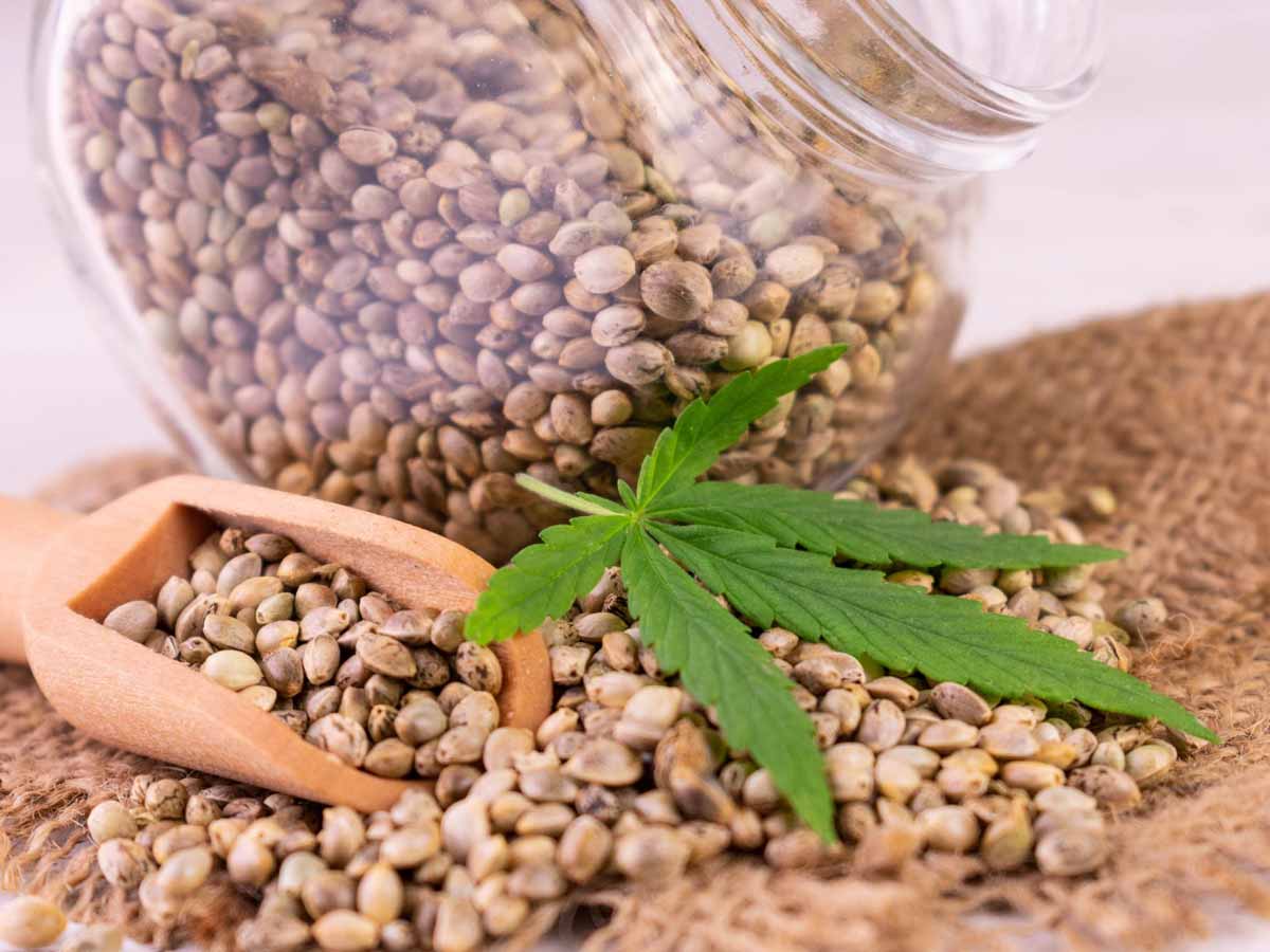 ways to add hemp seeds to diet