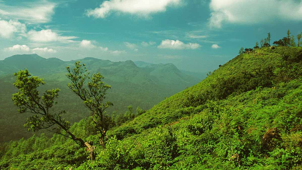 Coorg Hill Station