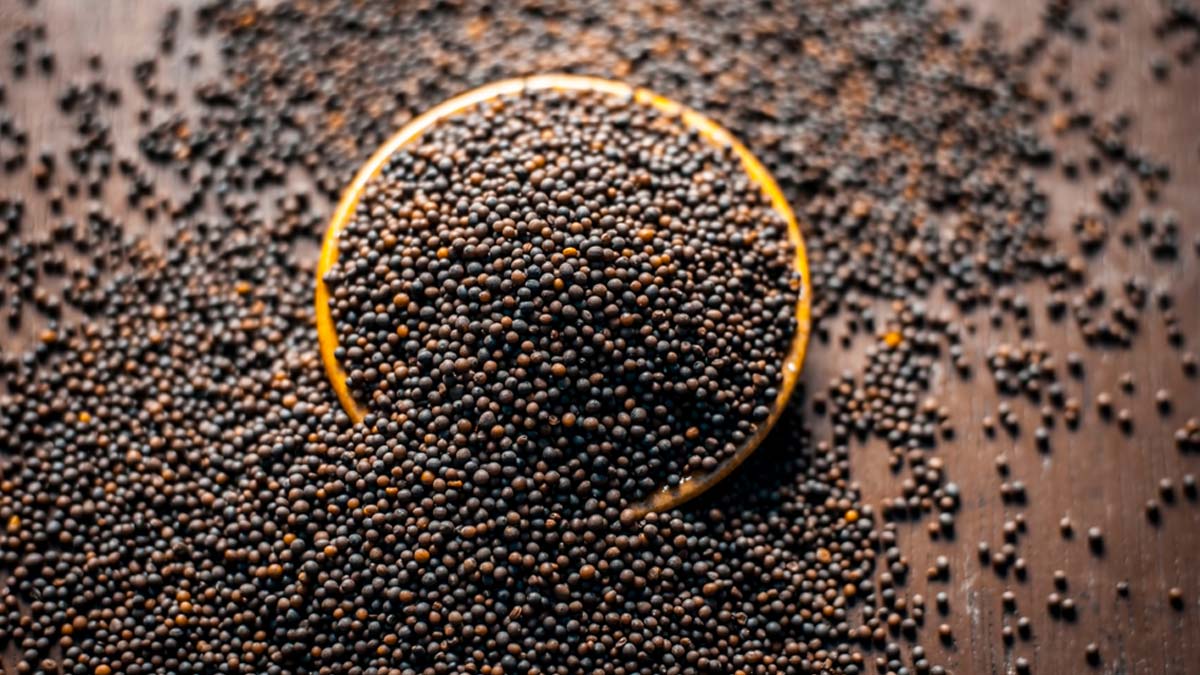 rai-aur-sarso-ke-seeds-rai-aur-mustard-ke