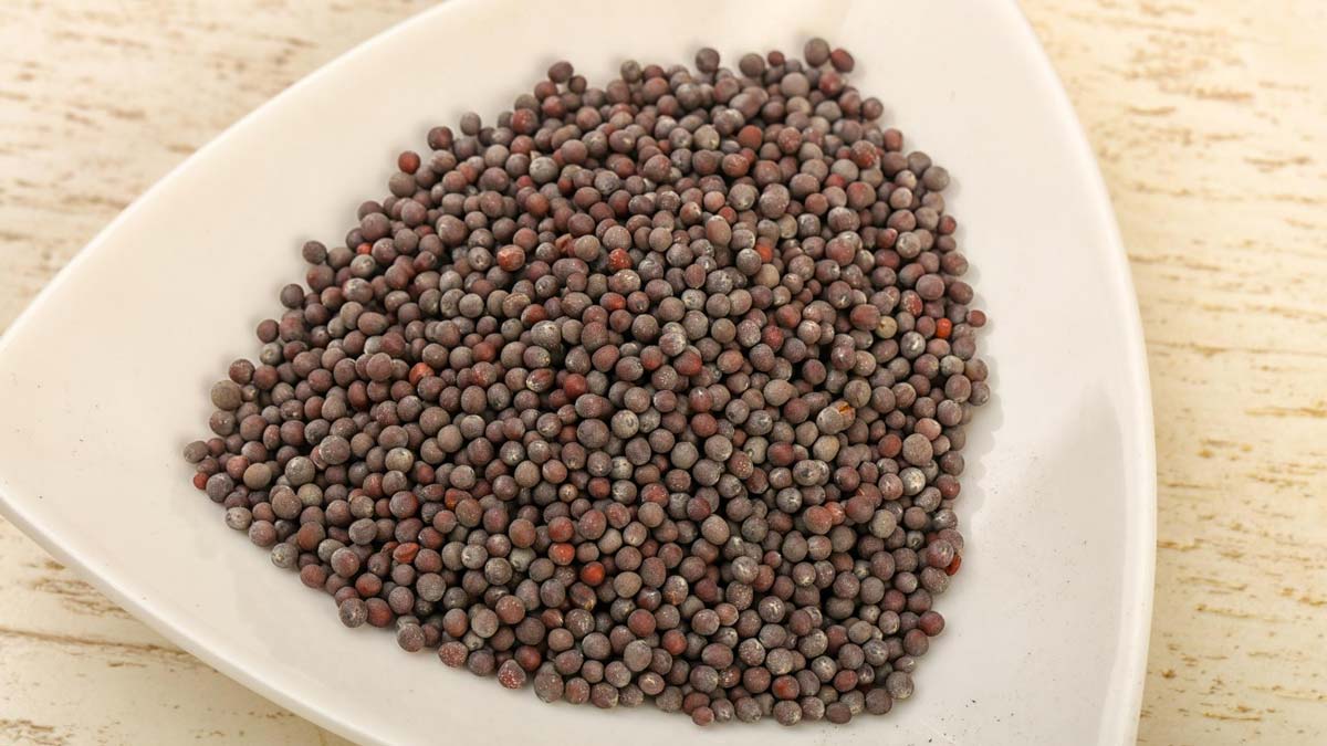 rai-aur-sarso-ke-seeds-rai-aur-mustard-ke