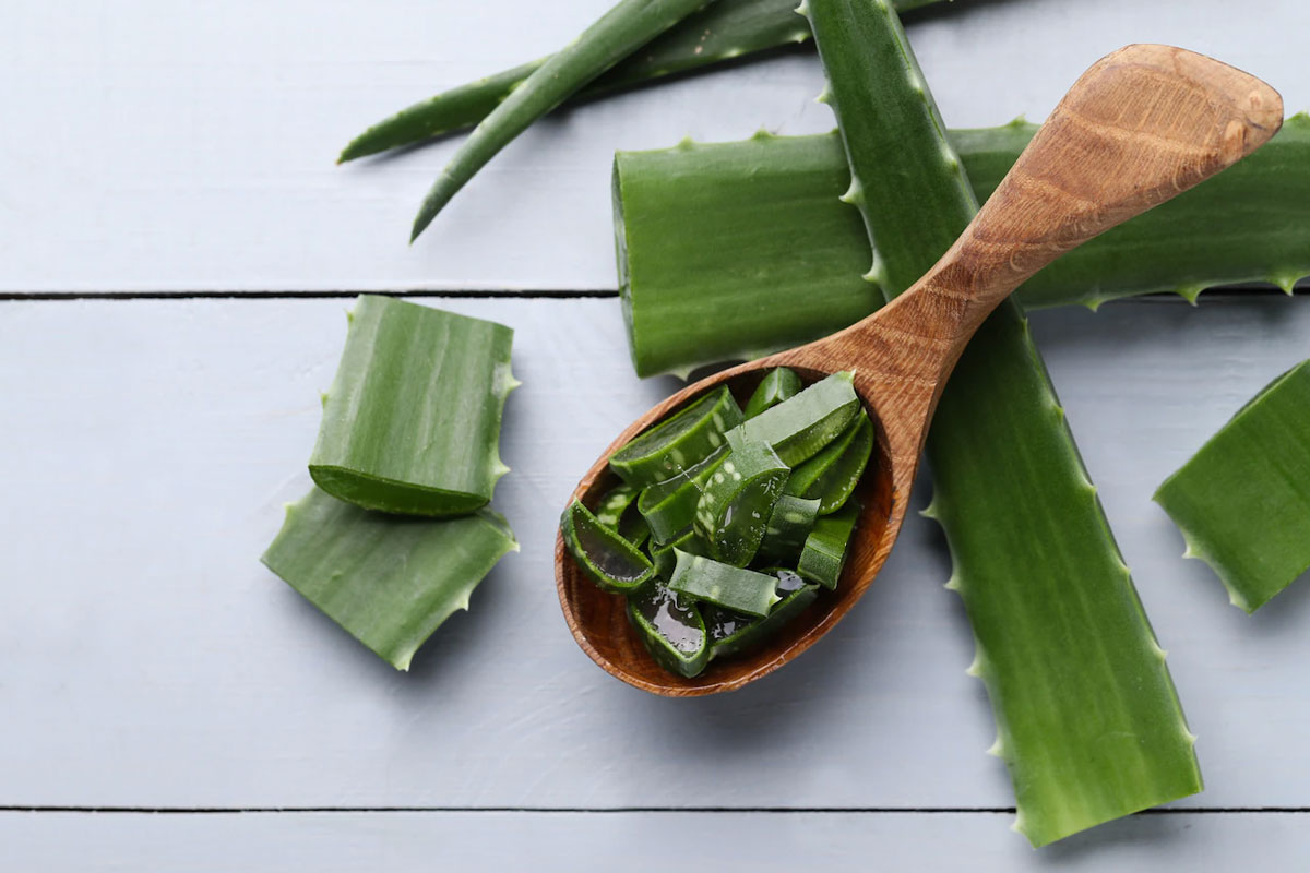 aloe vera for acne scars