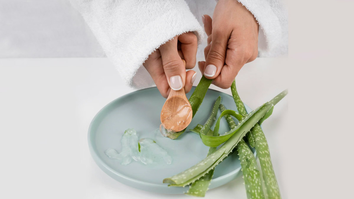3 Easy Ways To Use Aloe Vera In Skin & Hair Care Regime 3 Easy Ways To Use Aloe Vera In Skin & Hair Care Regime