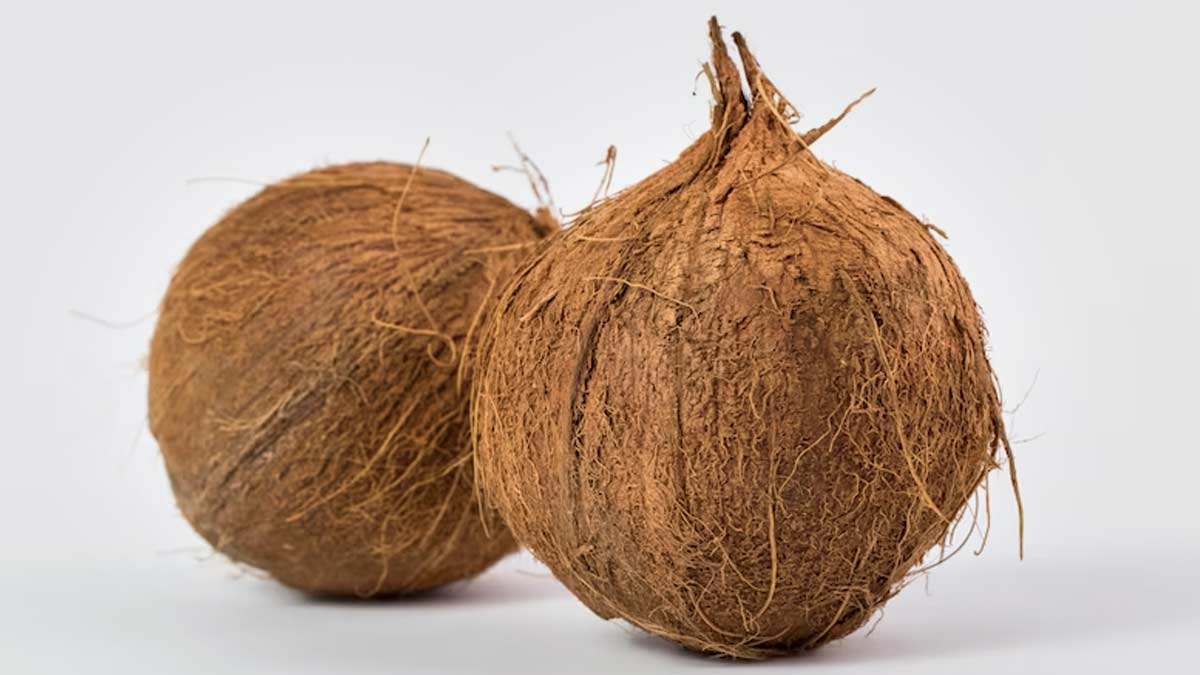 नारियल का उपाय astro remedies for holika dahan