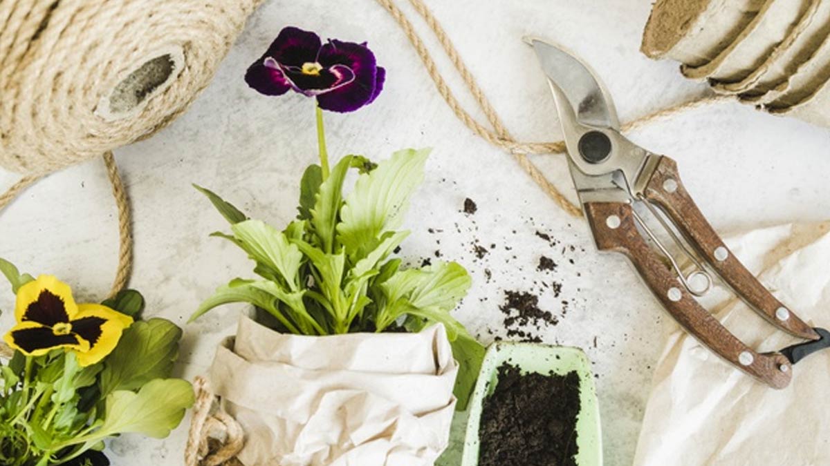 benefits of grow bags gardening