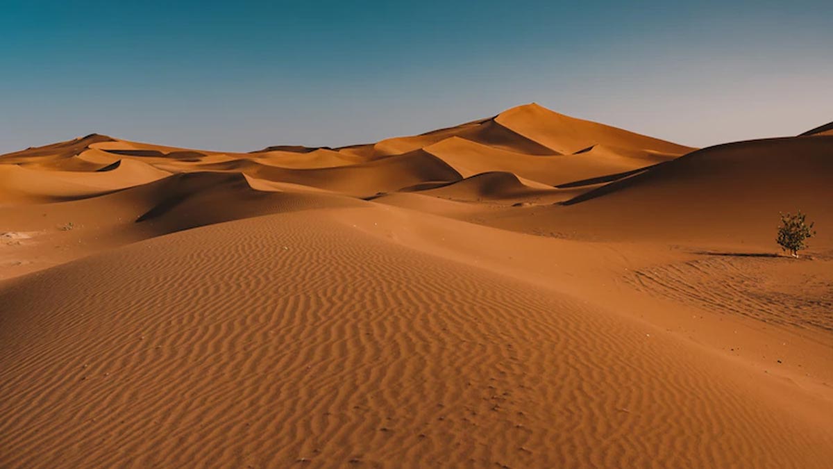 best desert safari in hindi