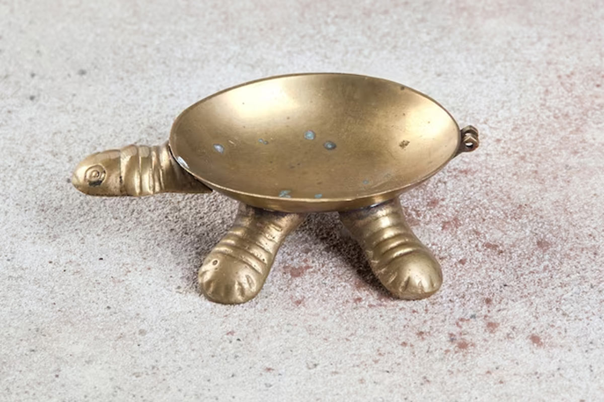 brass turtle benefits