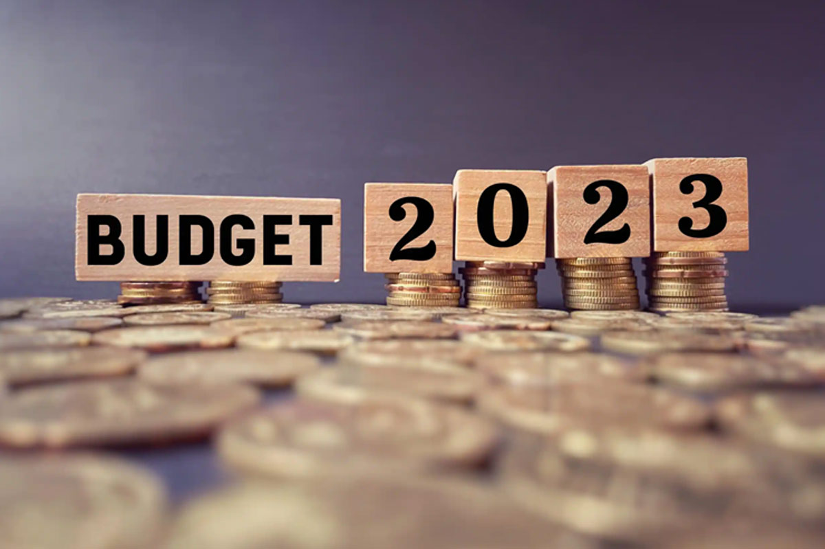 budget  and its expectations