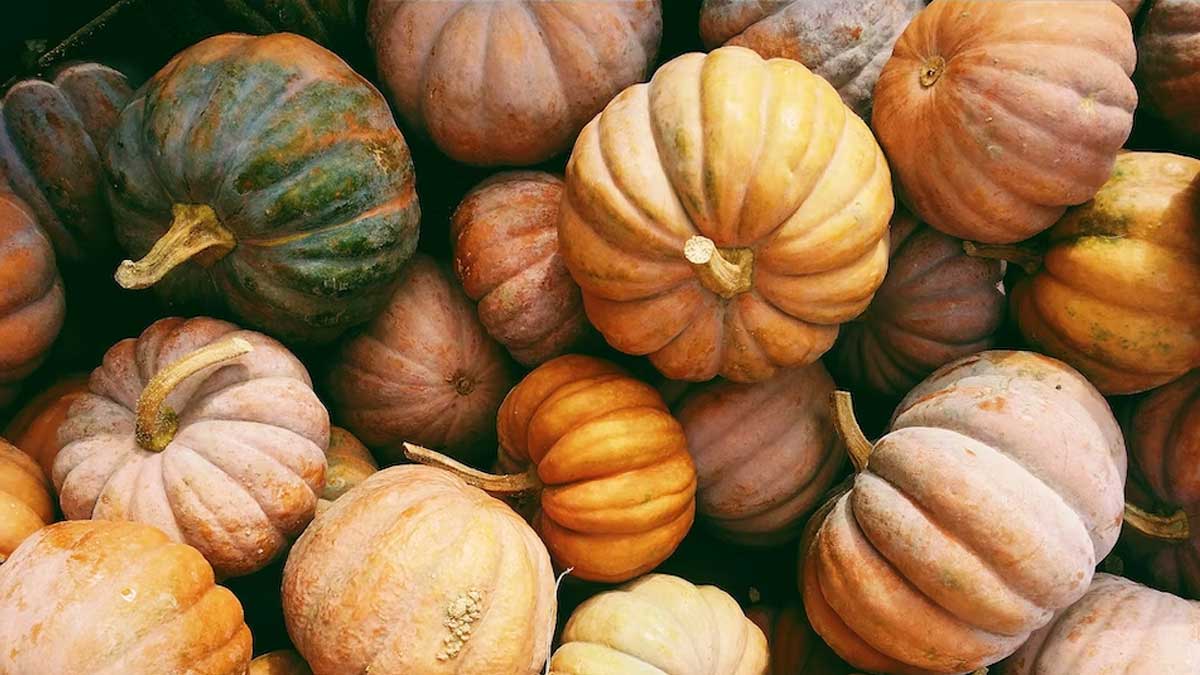 Try This Sumptuous Pumpkin Rasam Recipe For Winter Season 