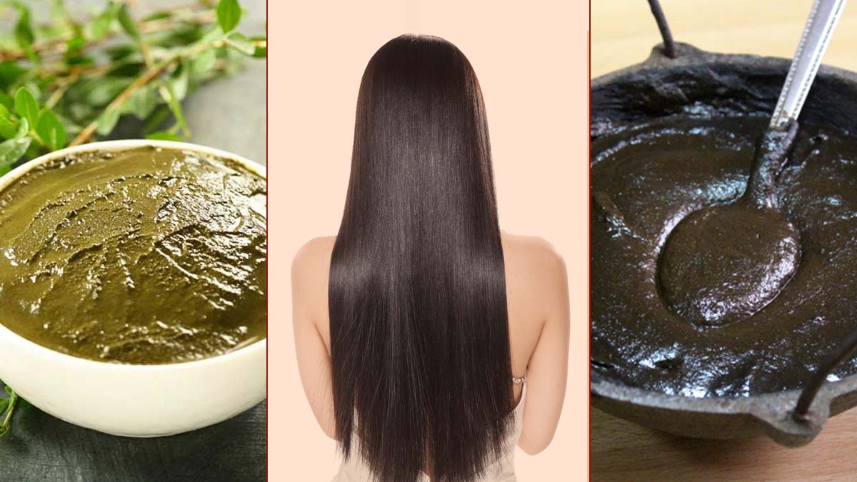 Maa Ka Nuskha: मेहंदी के साथ 3 चीज़ें लगाने से बस 3 हफ्तों में मुझे मिले  ऐसे बाल | henna powder fenugreek amla coffee for black hair | HerZindagi