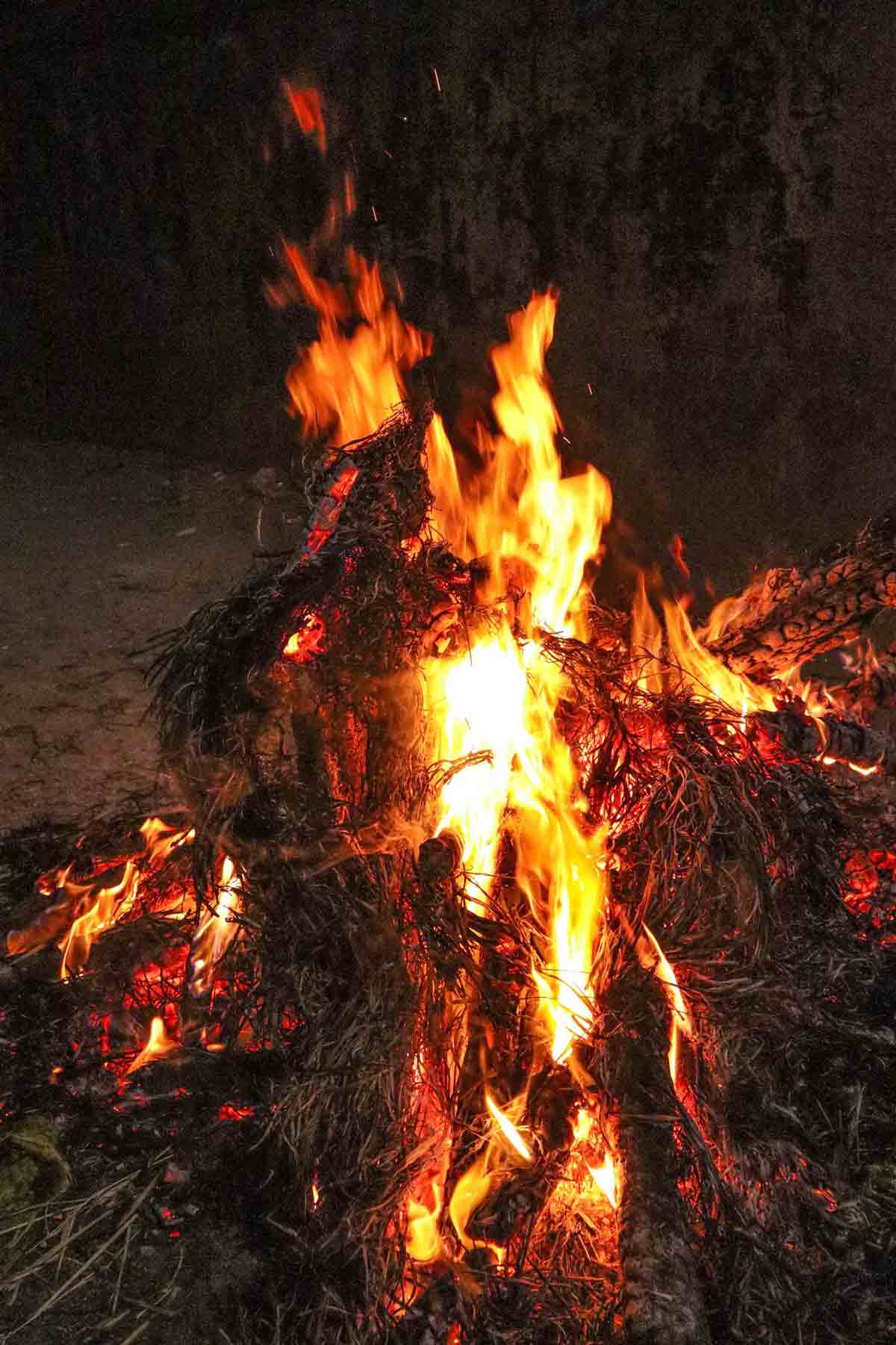 होलिका की राख holika dahan remedies