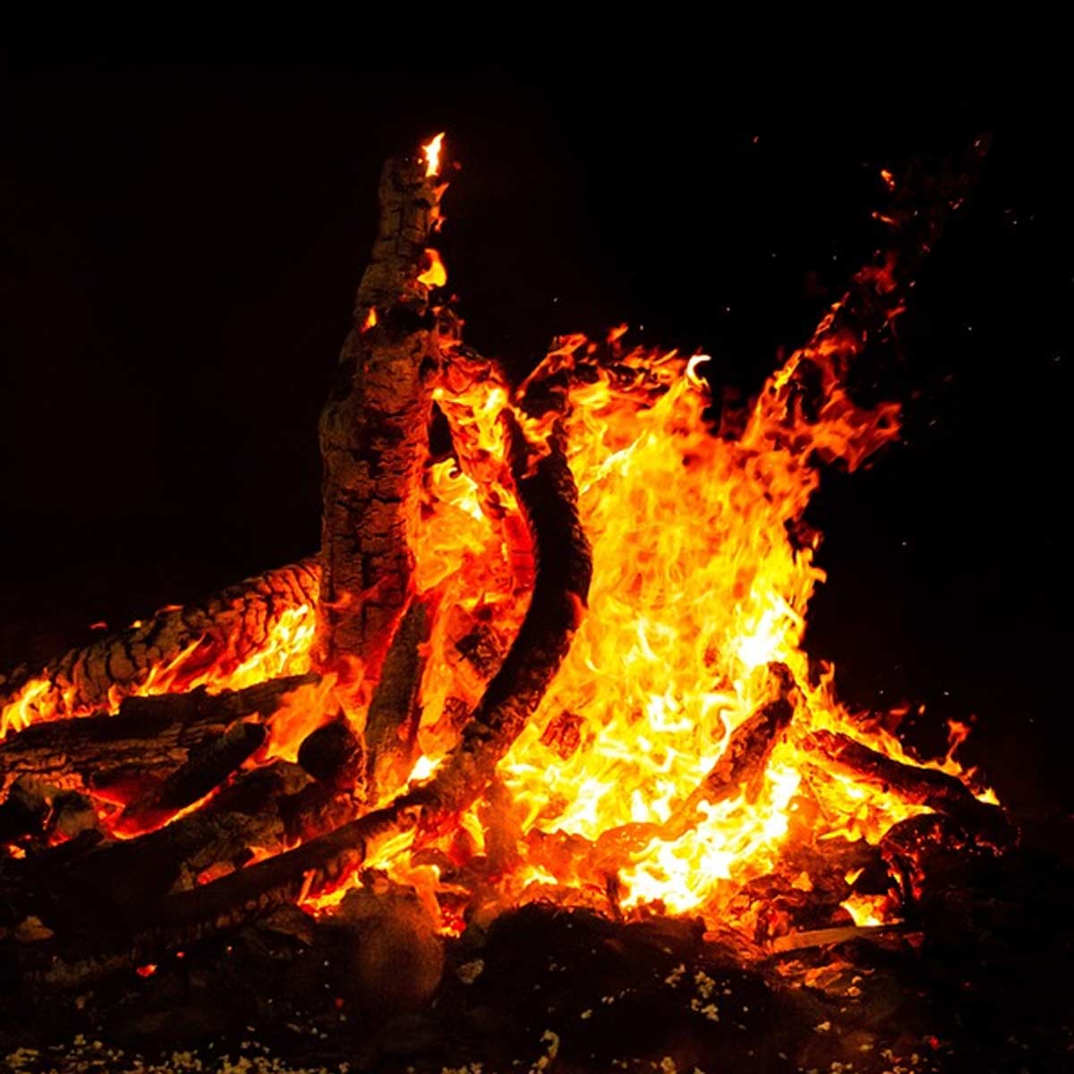 holika dahan shubh muhurat