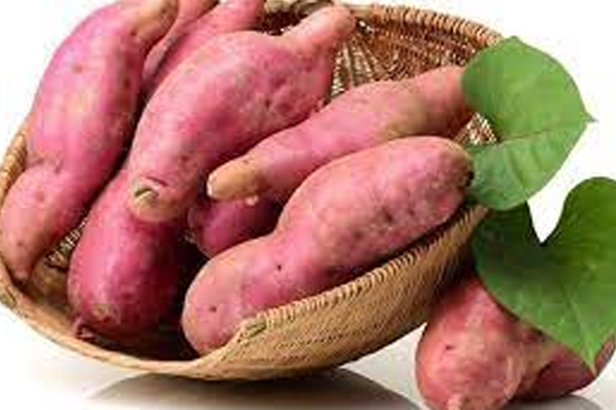how to buy good sweet potatoes tips