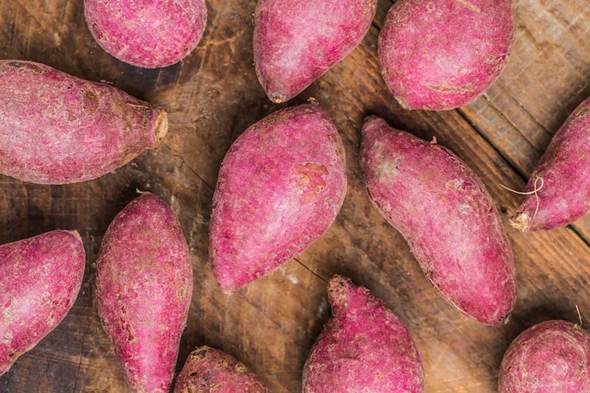 know how to buy good sweet potatoes