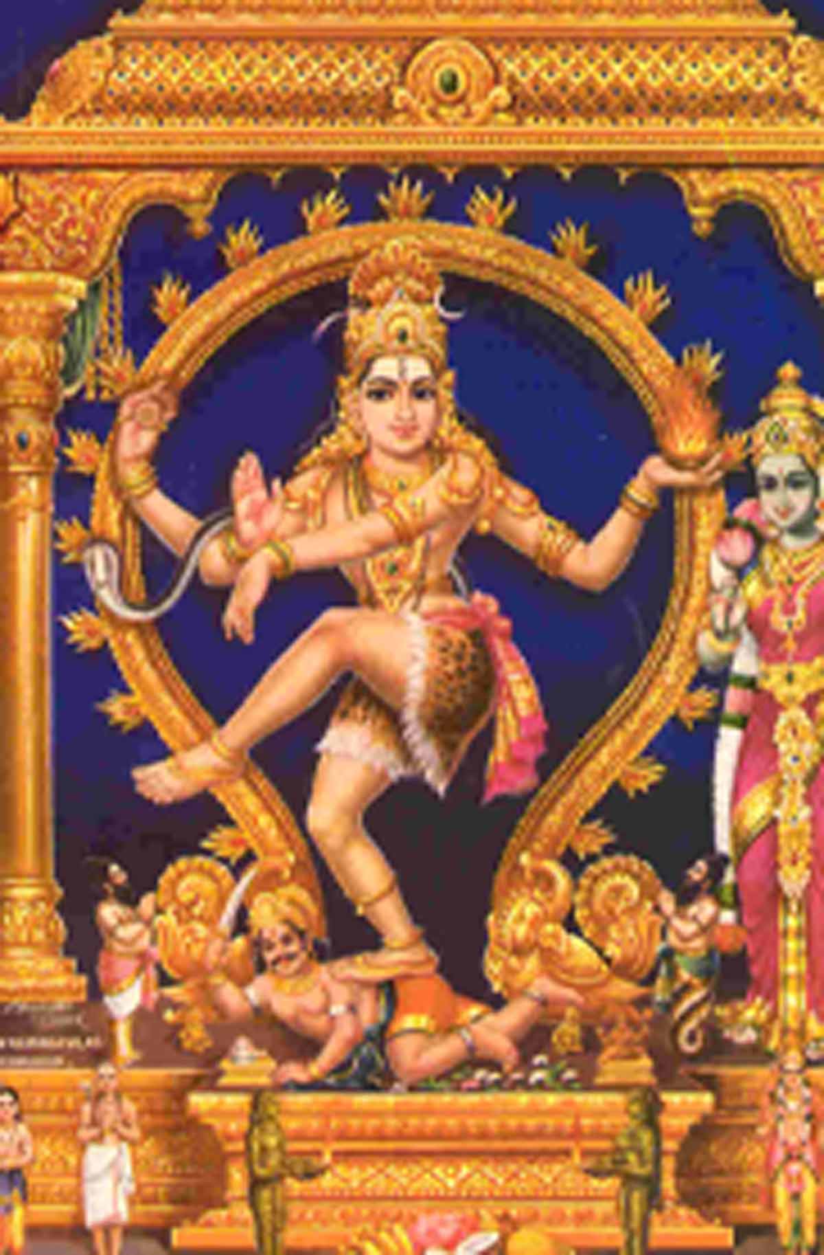 lord natraja