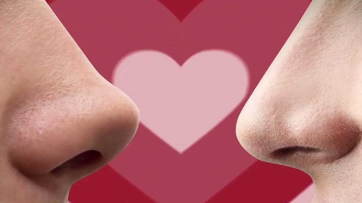 lovers and attraction