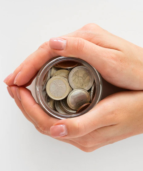 कस्टम ड्यूटी money problems and budget