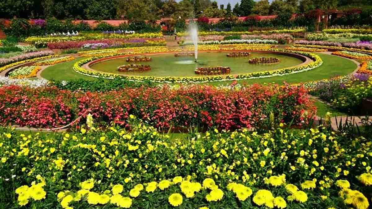 अमृत उद्यान नाम से जाना जाएगा मुगल गार्डन, जानें खुलने की तारीख और टाइमिंग 